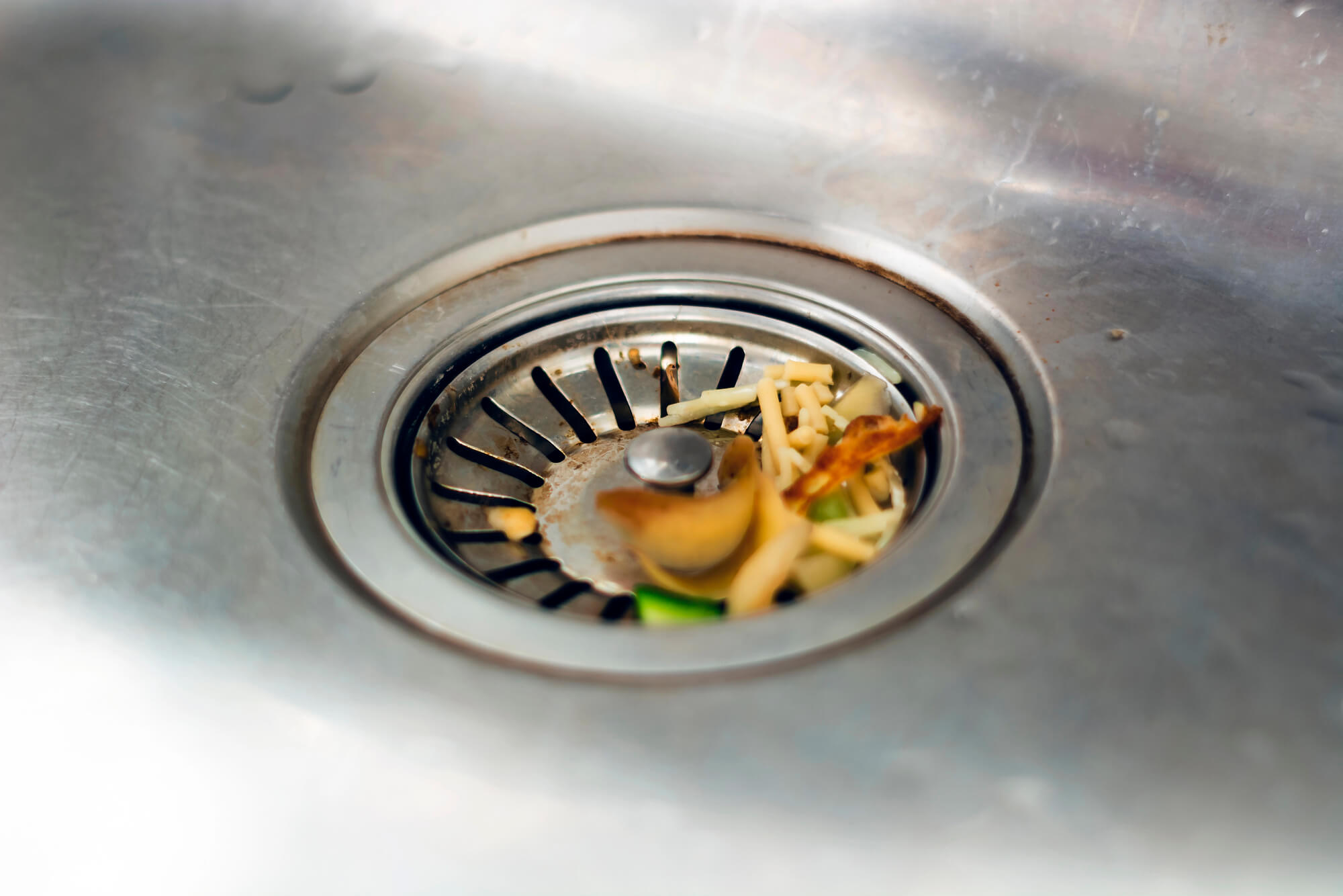 fix-clogged-drain-in-seattle-due-to-leftover-foods