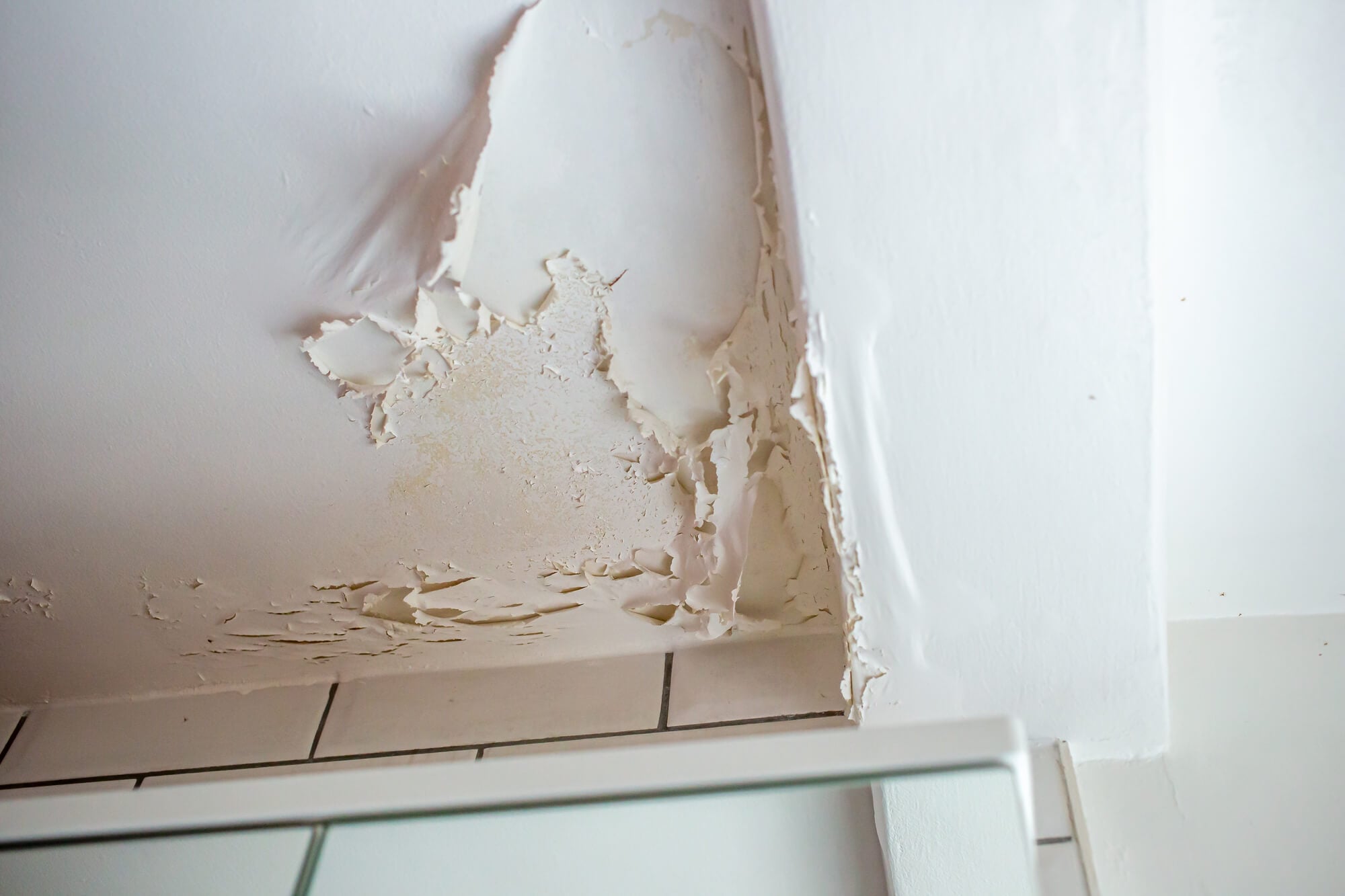 Hidden leak that needs to be fixed by Plumber Seattle