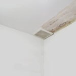 hidden leaks that need to be addressed by a Plumber Seattle (1)