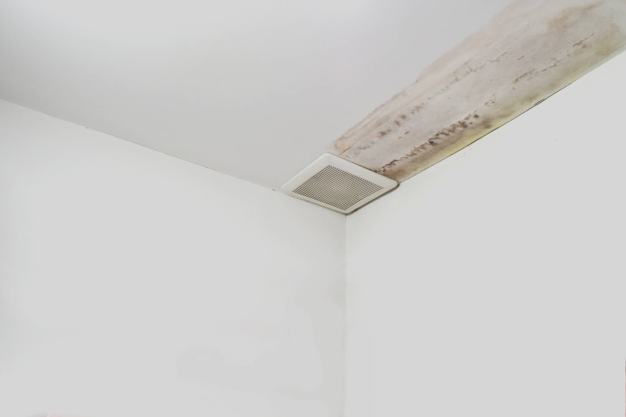 hidden leaks that need to be addressed by a Plumber Seattle (1)