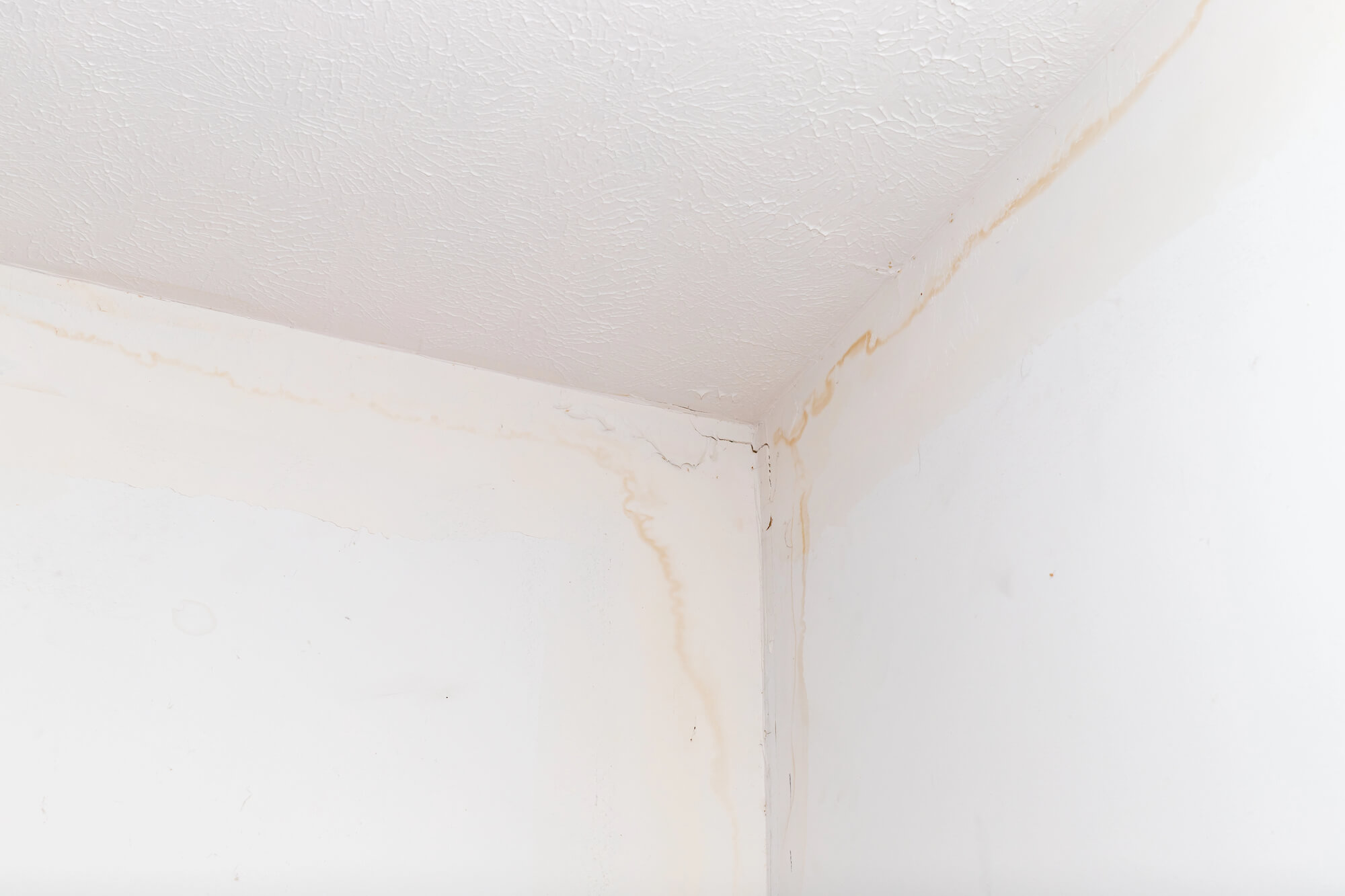 stained wall needing leak repairs seattle