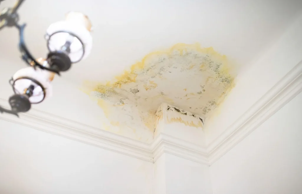 in need of Leak Repair Seattle