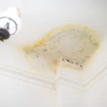 in need of Leak Repair Seattle