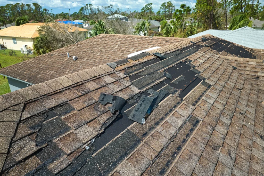 Leak Repair Seattle