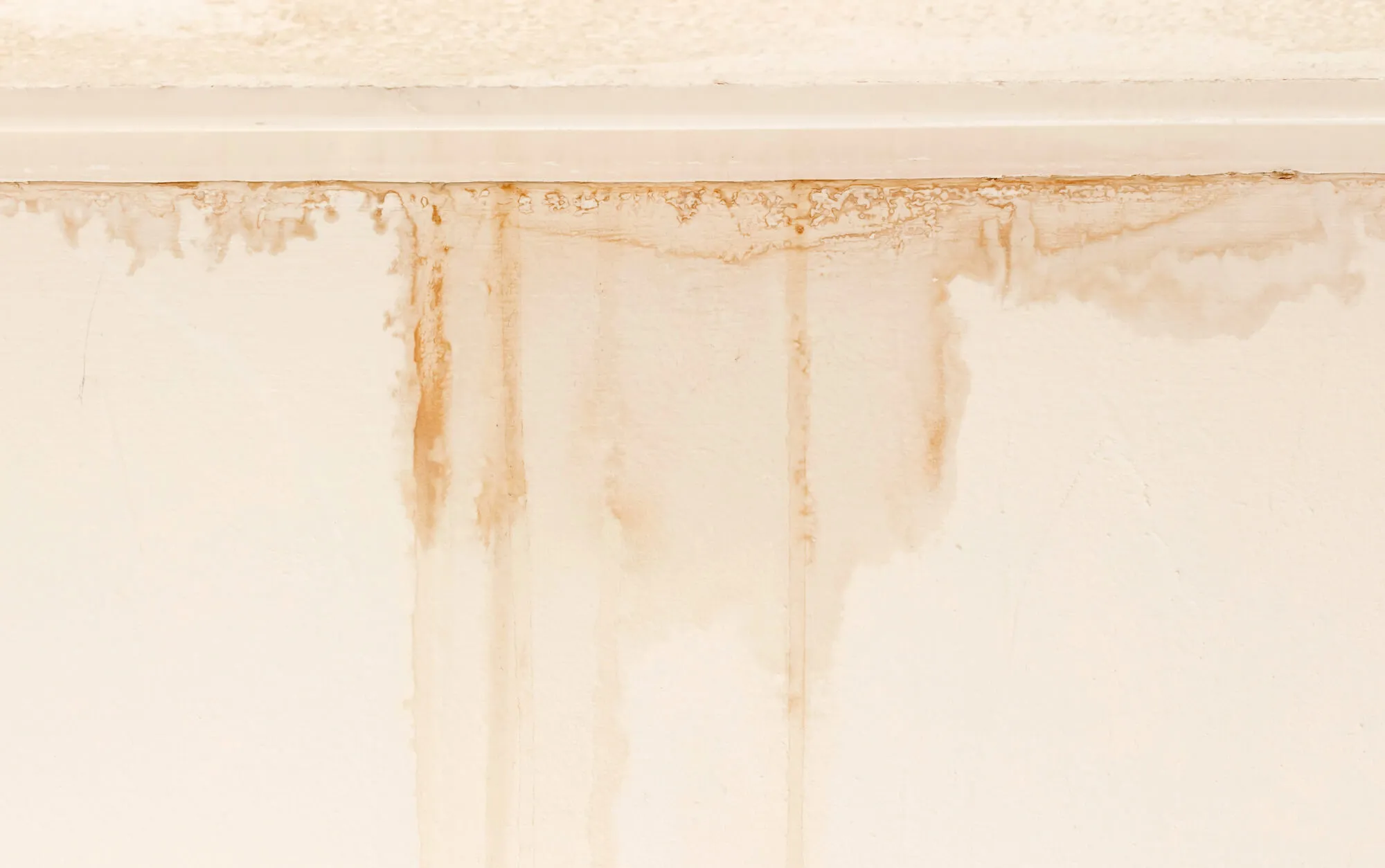 Leak Repair Seattle after a storm