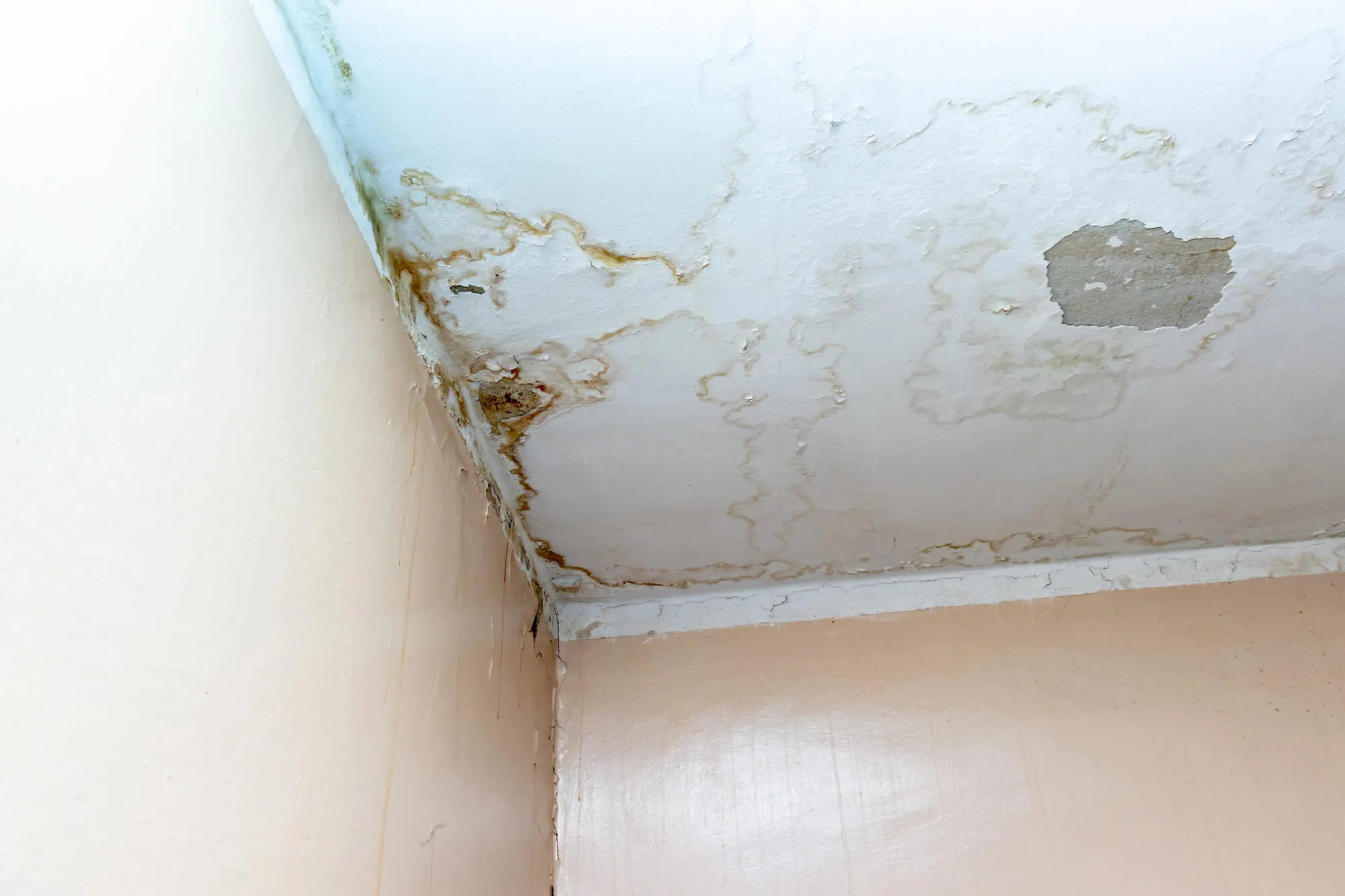 Leak Repair Seattle