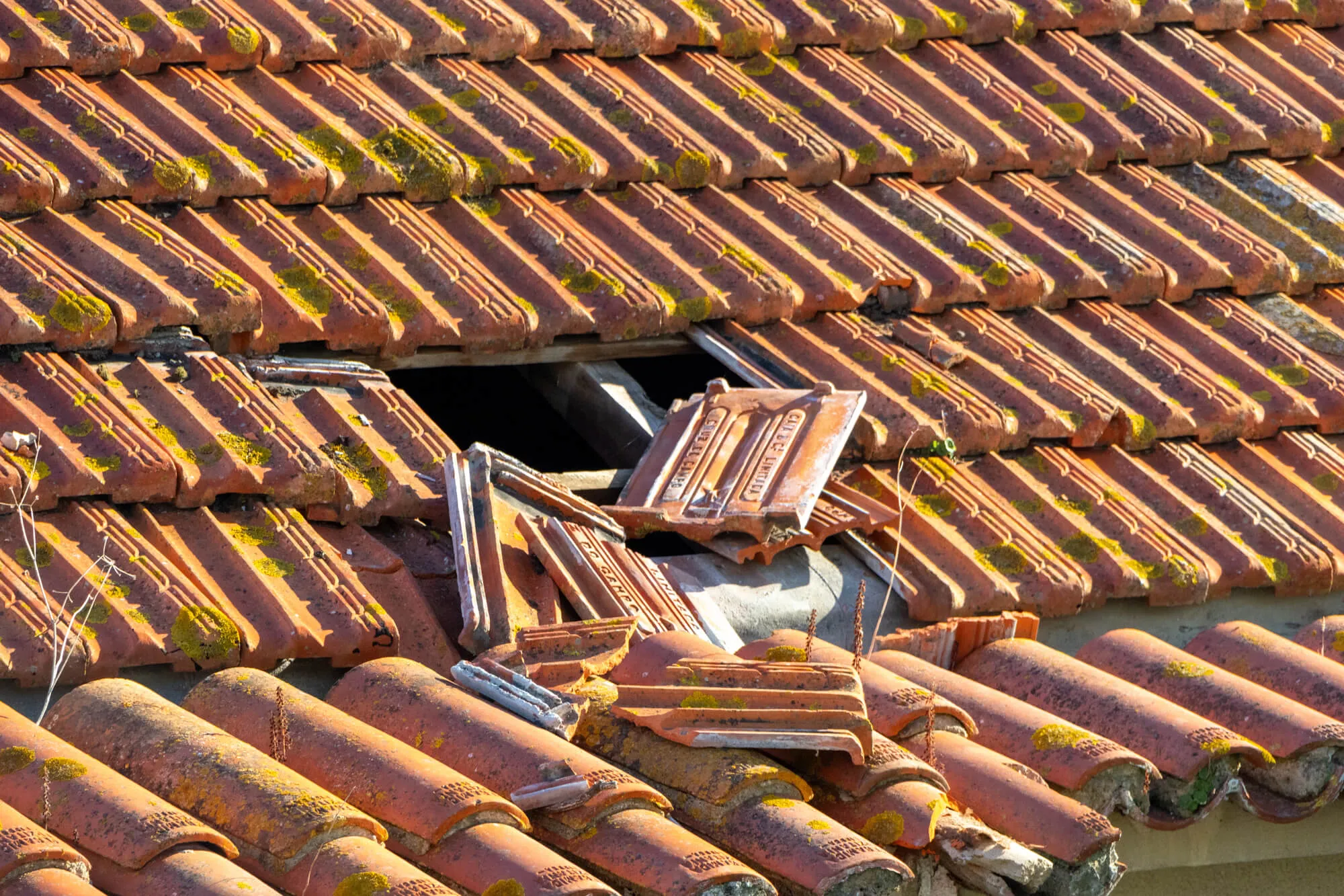 reliable Leak Repair Seattle